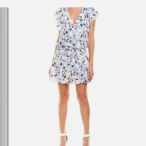 Parker Revolve Blue and White Floral Mini Dress